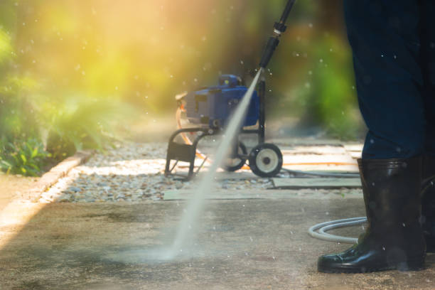 Best Pool Deck Cleaning  in Roma, TX